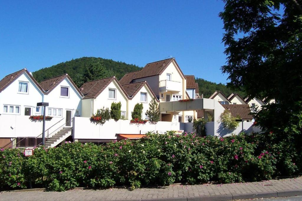 Villa Seeblick genießen in schöner FeWo am Edersee Scheid  Exterior foto